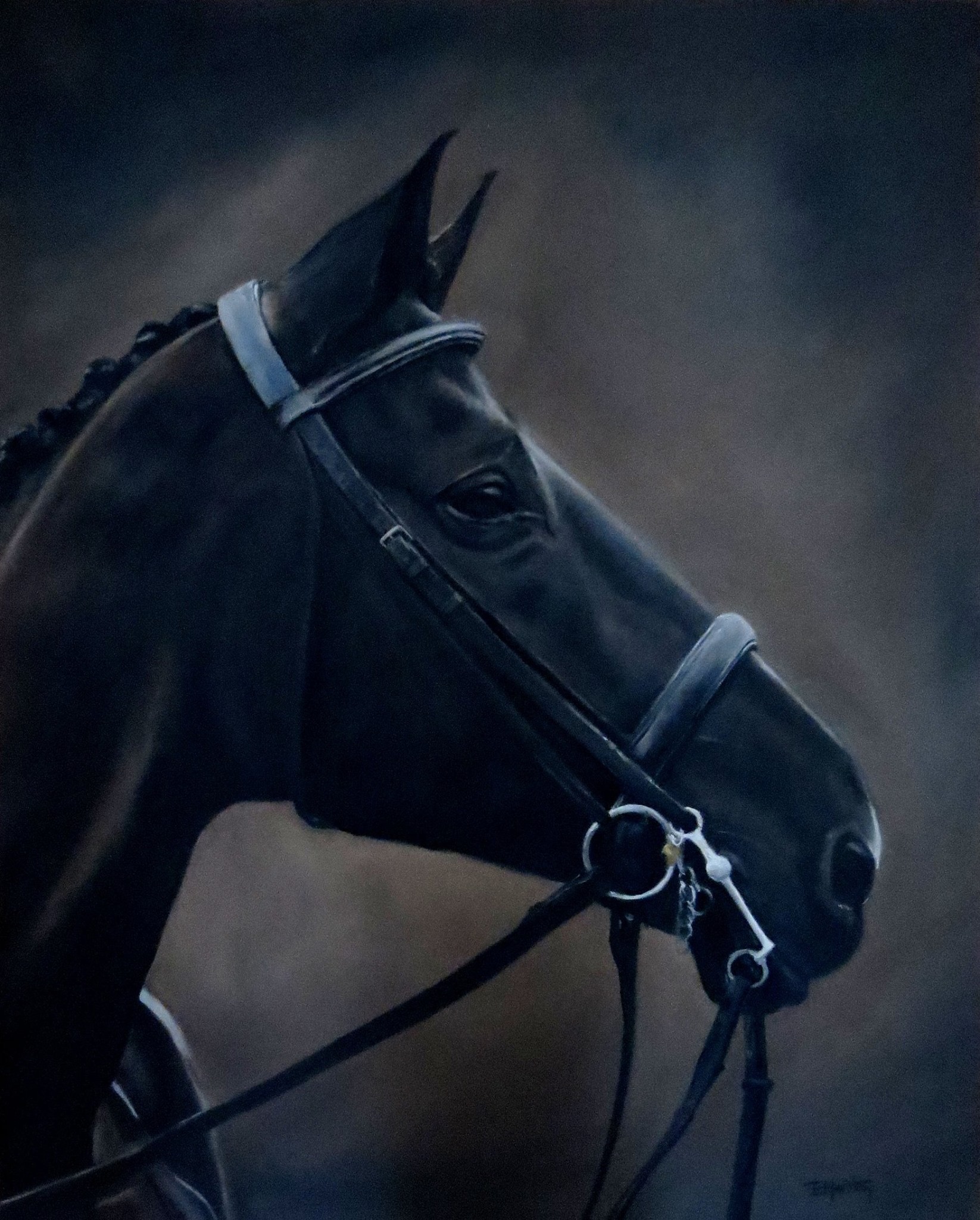 Commission - Horse